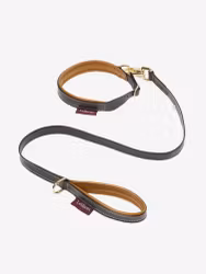 LeMieux Toy Puppy Collar & Lead Ginger/Brown