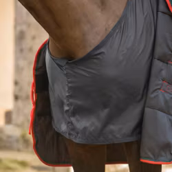 Shires Satin Bogskydd