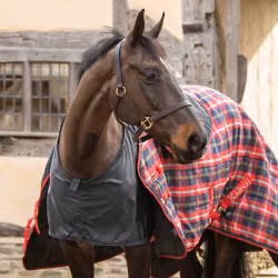 Shires Satin Bogskydd