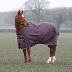 Shires Typhoon Täcke 100g, Black Cherry