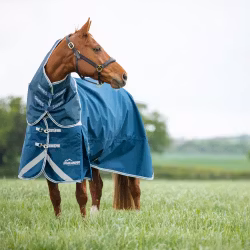 Shires Highlander 50g Täcke & Hals Set Ocean