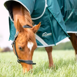 Highlander 300g Täcke & Hals Set Green