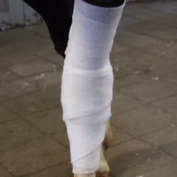 Cellona Polstervadd Synt Steril 1 st