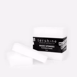 Tershine Fläckborttagningssvamp 5-pack