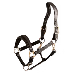 Finesse Halter Leather