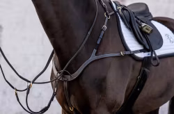 Jacson Corona Förbygel