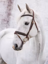 Jacson London Träns Brun