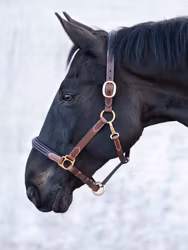 Jacson London Lädergrimma