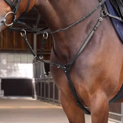 VELOCITI LUSSO Elite Förbygel