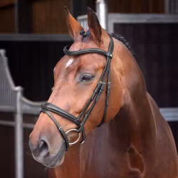 VELOCITI LUSSO Elite Träns