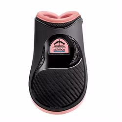 VEREDUS Olympus Vento Color Rear