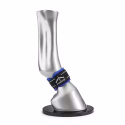 VEREDUS Pro Wrap Magnetic