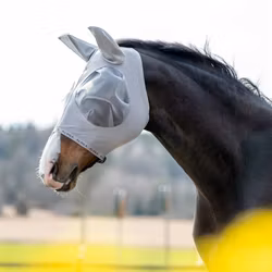 Aloga Fly Mask
