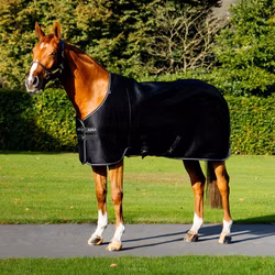 Aloga Pro Mesh Cooler