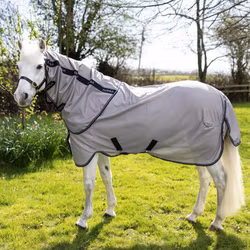 Aloga Pony Fly sheet