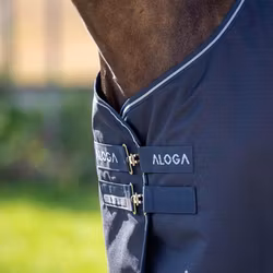 Aloga Turnout 2.0 0g