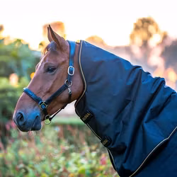 Aloga Pro Turnout Hood 150g