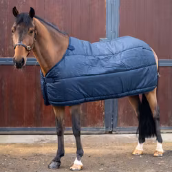 Aloga Pony Liner 350g