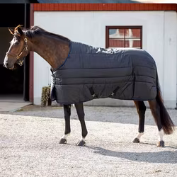 Aloga Stable 2.0 300g