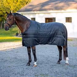 Aloga Stable 2.0 300g