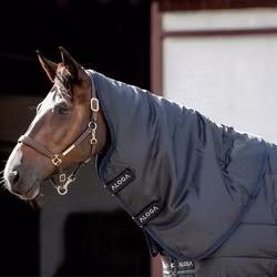 Aloga Stable 2.0 Hood