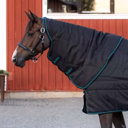 Aloga Pro Stable Hood