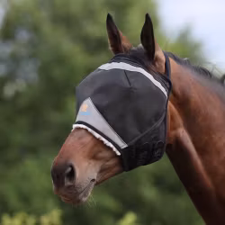 Shires FlyGuard Flughuva utan öron, Black/JET