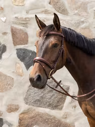 Jacson Milano Aachenträns