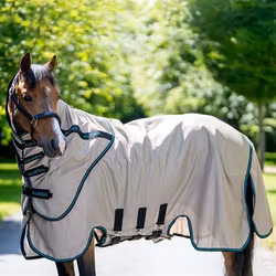 Aloga Pony Sweet Itch Sheet