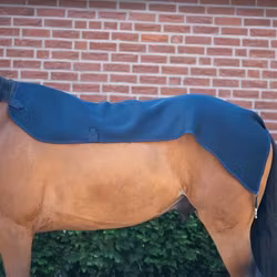 Aloga Pony Top Liner Mesh