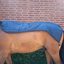 Aloga Pony Top Liner 100g