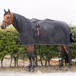 Aloga Pro Rain Sheet