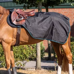 Aloga Exercise blanket