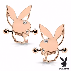 Bröstsköld Playboy