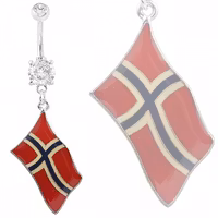 Norska flaggan
