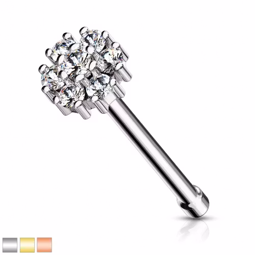 Näspiercing med multisten