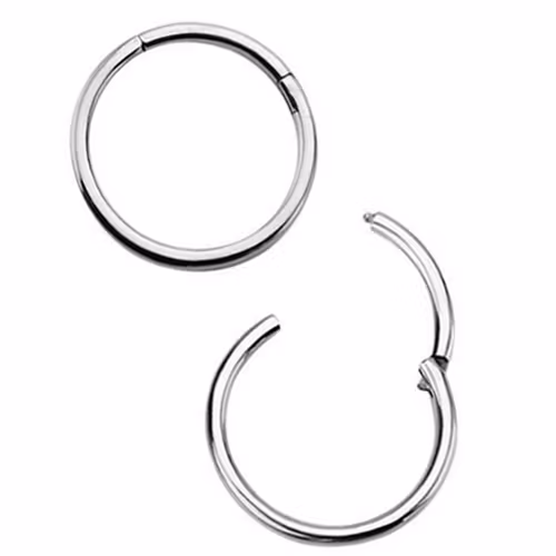 Segment ring med gångjärn