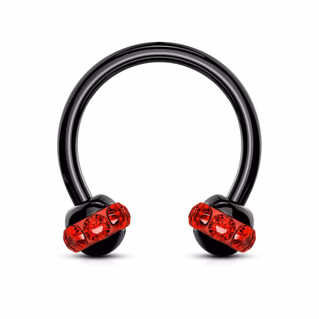 Svartpläterad Hästsko med ädelstensband