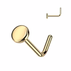 Böjd näspiercing G23 titan med platta