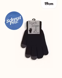 Touch screen 19 cm