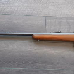 Norinco JW-15 22 LR