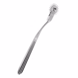 TABOOM - Wartenberg Wheel
