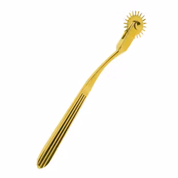 TABOOM - Wartenberg Wheel