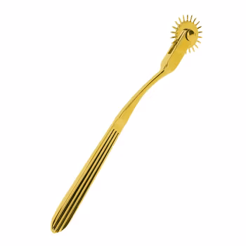 TABOOM - Wartenberg Wheel