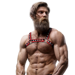 Fetish Submissive Attitude - Men's Eco-leather Chest Bulldog Harness, Black/red