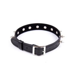 Latetobed - Collar with Spikes Adjustable, Black