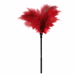 Guilty Pleasure - Small Feather Tickler, Red
