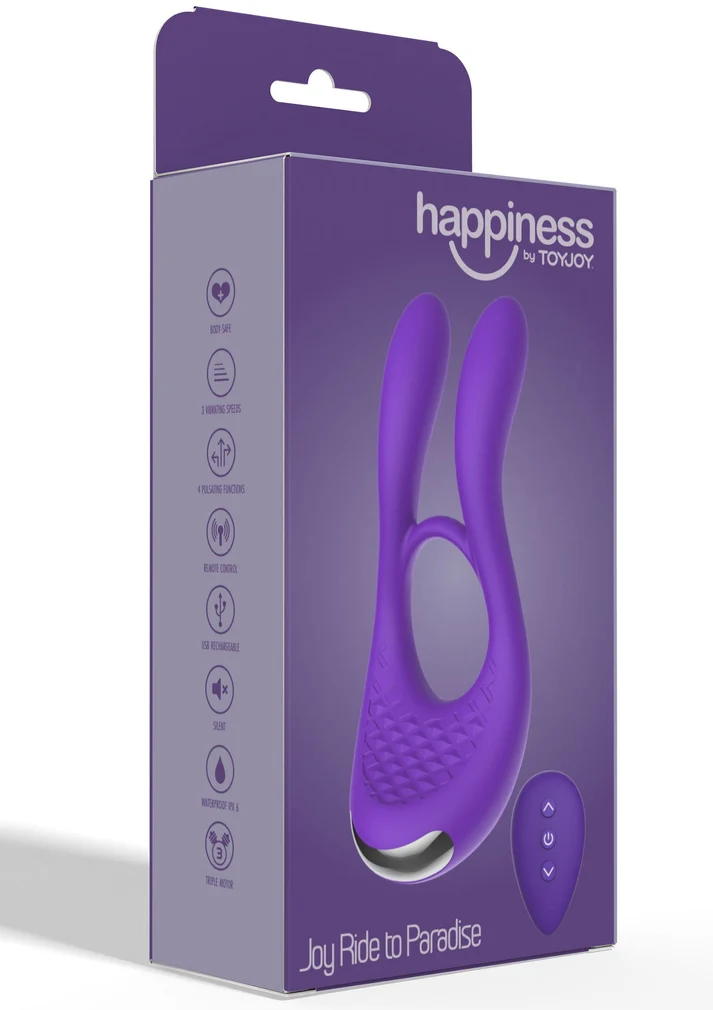 Happiness - Joy Ride To Paradise