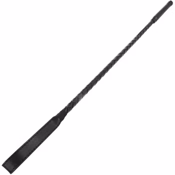 Darkness - Fetish whip, Black