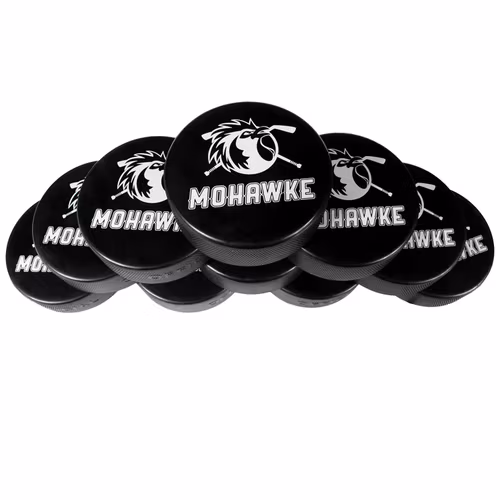 Billiga Hockeypuckar - 50-pack